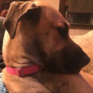 Meet your Posher, Charles